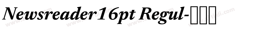 Newsreader16pt Regul字体转换 Newsreader16pt Regul字体转换